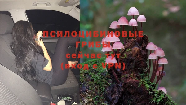 мдпв Кукмор