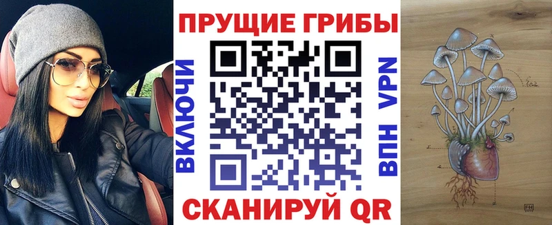 Псилоцибиновые грибы Psilocybe Купить закладки Маркс
